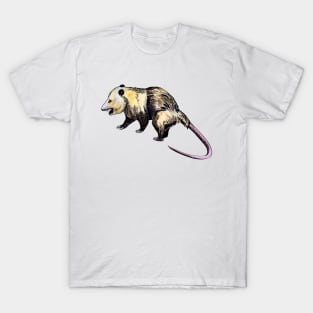 opossum T-Shirt